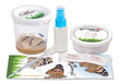 Tool Kit to Protect Butterfly Eggs on Milkweed 