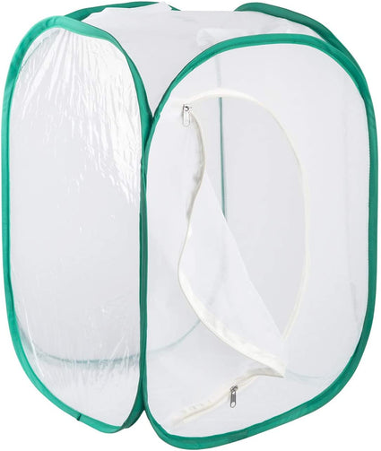 Reusable Enclosure for Newly Hatched Monarch Caterpillars